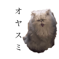 [LINEスタンプ] ウチの猫トリオ