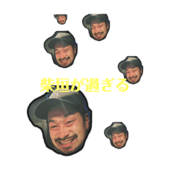 [LINEスタンプ] 柴垣が過ぎる