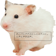 [LINEスタンプ] おこげとささみとしじみちゃん○時々おはぎ