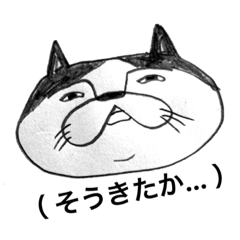 [LINEスタンプ] はっきりしないハチワレ猫