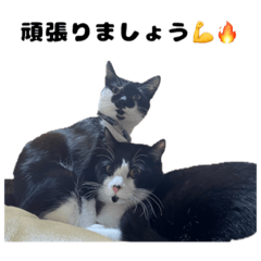 [LINEスタンプ] 福＆藤 第2弾