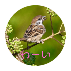 [LINEスタンプ] 地球のお友達スタンプ
