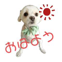 [LINEスタンプ] え、可愛すぎスタンプ