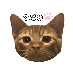 [LINEスタンプ] 仕事用⑨