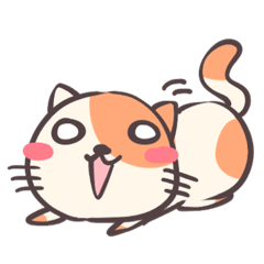 [LINEスタンプ] 【第1弾】しょちゃ猫すたんぷ