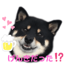 [LINEスタンプ] Tumuさんの日常 友達と一緒③