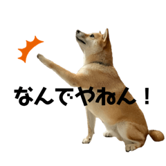 [LINEスタンプ] せっしょう丸スタンプ2
