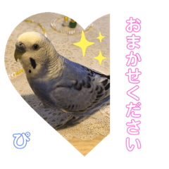 [LINEスタンプ] うめちゃんぴーちゃん彩りライフ