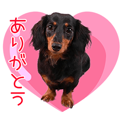 [LINEスタンプ] こはな♥