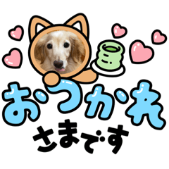 [LINEスタンプ] さくらとレアのスタンプ