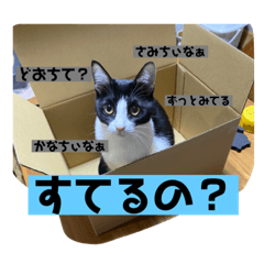 [LINEスタンプ] 月と太陽の日常
