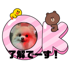 [LINEスタンプ] ぴのこ2021