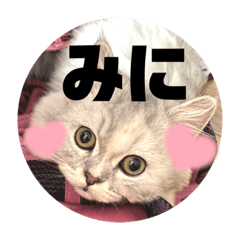 [LINEスタンプ] みにちゃんスタンプ3