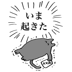 [LINEスタンプ] ゃこねこ