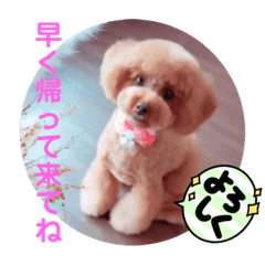 [LINEスタンプ] マロンの気持ち〜