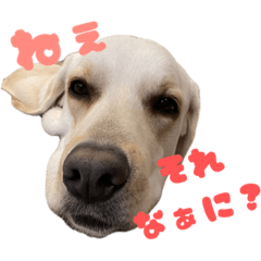 [LINEスタンプ] はちおくんは駄犬2