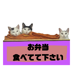 [LINEスタンプ] てばさんのスタンプ家族用ご飯編