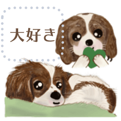 [LINEスタンプ] かわいいキャバリアのメッセージスタンプ