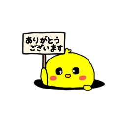 [LINEスタンプ] ピヨコシリーズ(べいべー)