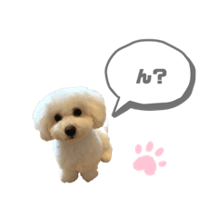 [LINEスタンプ] 愛犬くぅの日常②