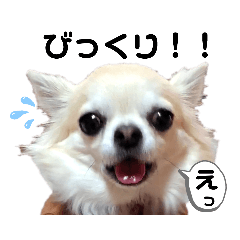 [LINEスタンプ] キキララくぅねねスタンプ