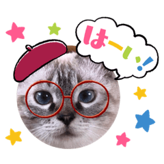 [LINEスタンプ] 保護猫マロン好日スタンプ3
