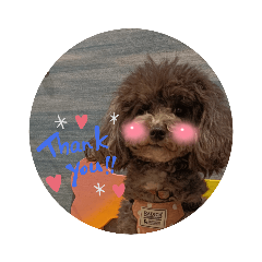 [LINEスタンプ] いつもニコニコ可愛いめいちゃん