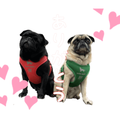 [LINEスタンプ] こももです！すももです！