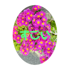 [LINEスタンプ] 私の花ばたけ