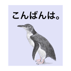 [LINEスタンプ] 神在月のペンギンスタンプ2