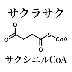 [LINEスタンプ] 薬学的合格祈願スタンプ