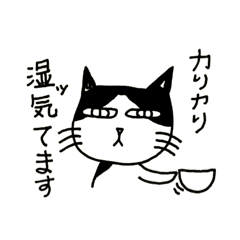 [LINEスタンプ] 私的日常・猫編 Part2