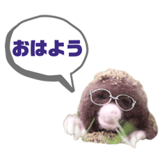 [LINEスタンプ] 写真家もぐらさん