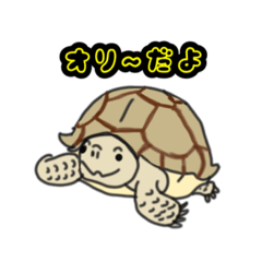 [LINEスタンプ] ケヅメリクガメのオリー