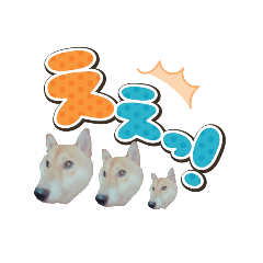 [LINEスタンプ] おちはち君。