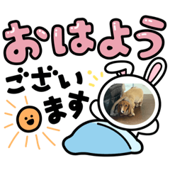 [LINEスタンプ] ピンシルの日常