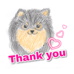 [LINEスタンプ] Beloved dog <Pomeranian>