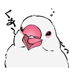 [LINEスタンプ] 鳥好きさんのためのスタンプ