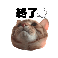 [LINEスタンプ] 仕事用⑧