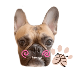 [LINEスタンプ] マロくんすたんぷ4