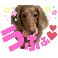 [LINEスタンプ] らぶぞぅs