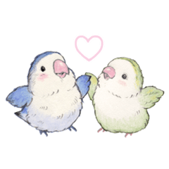 [LINEスタンプ] コザクラインコのあおちゃんとあもちゃん