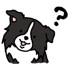 [LINEスタンプ] ボーダーコリーの日常使い用手書きスタンプ