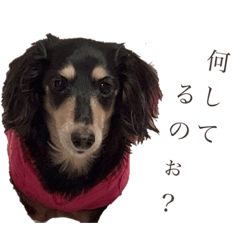 [LINEスタンプ] coco＆tini vol.4