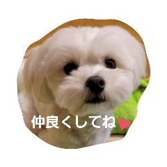 [LINEスタンプ] moco tam6moa HAPPY jamjam