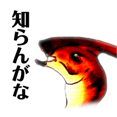 [LINEスタンプ] 恐竜たちから一言