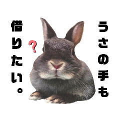 [LINEスタンプ] パーすたんぷ 4