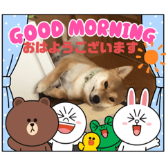 [LINEスタンプ] 可愛い柴犬の赤豆＆黒豆 LINEFRIENDSと一緒