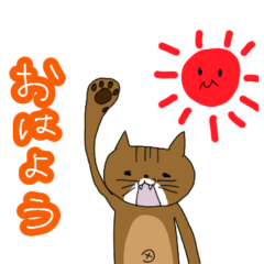 [LINEスタンプ] おへそがでてるネコ