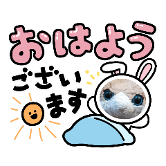 [LINEスタンプ] みんな集合‼️第2弾！